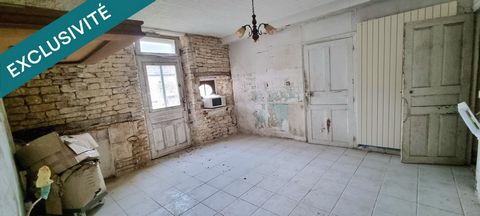 photo no. 6