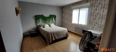 photo no. 8