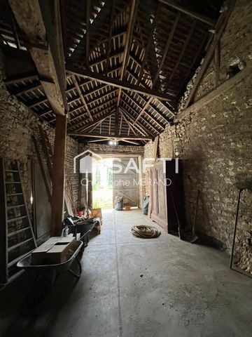 photo no. 17