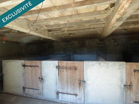 photo no. 15