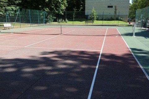 photo no. 8