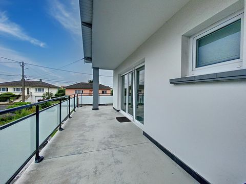 photo no. 8