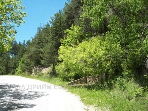 TEL: ... ; 0301 69999/ OFERUJEMY DO SPRZEDAŻY NIERUCHOMOŚĆ O STATUSIE GRUNTU. ZIEMIA W ZIEMI WSI POLK.SERAFIMOWO- 12 KM. Z SMOLYAN, 15 KM. OD PRZYSZŁEGO PRZEJŚCIA GRANICZNEGO RUDOZEM-XANTHI, 25 KM. OD PAMPOROVO RESORT, 70 KM. Z PLAŻ SĄSIEDNIEJ GRECJI...