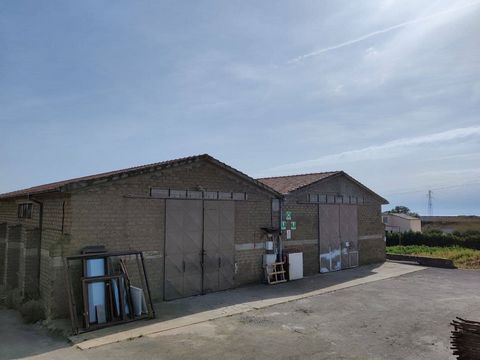 LAZIO - VITERBO - MONTALTO DI CASTRO - INDUSTRIAL ARTISAN SHEDS IN SANGUINARO LOCATION Artisanal, industrial and agricultural warehouses of approximately 2200 m2, divided into 3 large and 4 small structures with the possibility of merging all the vol...