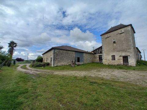 Bordered by a small communal road, on a dominant point, with only the frogs in its pond as nuisances, this two-hundred-year-old farmhouse is just waiting for you to come back to life. 10 minutes from Bergerac and its amenities and 15 minutes from the...