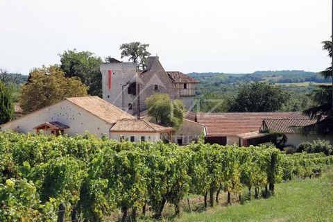 The Domaine La Grande Maison is located, on a hill overlooking the banks of the Dordogne and the historic town of BergeraC. This family estate of about 20 hectares, including about 14 hectares of PDO vines certified DEMETER since 2018, offers an old ...