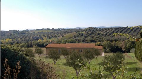 Magliano in Toscana terrain à vendre À Magliano en Toscane, près de la ville, nous offrons un terrain agricole exclusif d’environ 13 000 mètres carrés avec une autorisation paysagère déjà délivrée pour la construction d’une maison de campagne de 120 ...