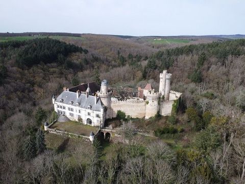 EXCLUSIVE - LEGENDARY FORTRESS OF VEAUCE IN THE HEART OF ALLIER - MH - MORE THAN 1000 YEARS OF HISTORY(S) - ON A ROCKY Spur - SPLENDID VIEW - 8.3 HA - MONUMENT IN RISK Known to be the residence of Louis the Pious, Western emperor in the 9th century. ...