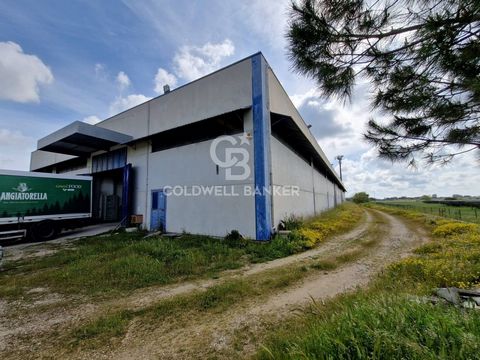 CARMIANO - LECCE - SALENTO In Carmiano, on the provincial road leding to Novoli, large industrial warehouse of approximately 2700 sqm now available for sale. The property is set on a plot of land of approximately 1 hectare which surrounds it. The acc...