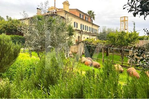 Beautiful farm of about 12 ha, surrounded by vineyards, pastures, olive grove and orchard, pine and cork oak forest and with flock of sheep. Manor house recovered with a lot of charm and adapted to tourism. it has been fully adapted and has an energy...