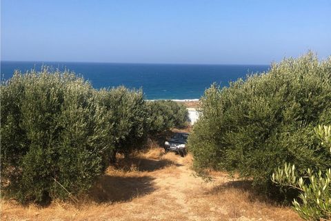 Located in Agios Nikolaos. Three building plots located in Vlichadia, at the north coast of Crete, north-west of the busy luxury tourist resort of Elounda, with very nice views of the Cretan Sea and the mountains behind. The plots can be bought seapa...