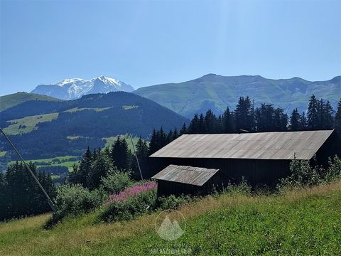 Alpine chalet with 200 m2 of floor space spread over 2 levels. As it stands, there is no running water, no connection to the electricity network but connected to the communal sewerage network (mains drainage). Chalt accesibe only outside the winter p...