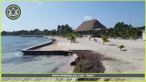 The PRIME TEAM likes to introduce you to this unique property :  550 Acres pristine island, located between Belize city and the barrier reef. Hotel developers, this is a once  in a lifetime opportunity. A 100% private island, approximately 20 minutes...