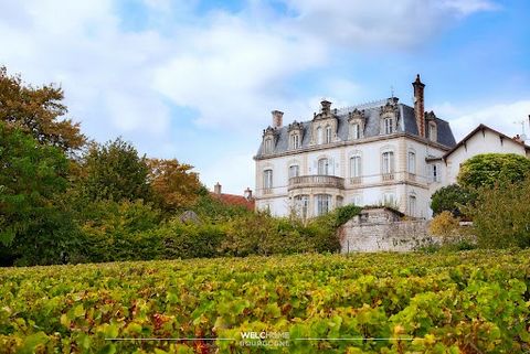 BEAUNE 20 min - La Demeure Montrichard, magnifique château Haussmannien du XIXème siècle, est située au cœur du vignoble de Mercurey. Ses terrasses offrent une vue panoramique unique sur le vignoble et le village de Mercurey. Restaurée avec goût en c...