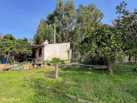 Farm in the parish of Retaxo, municipality of Castelo Branco Farm with about 24 276m2 There is an unlicensed building consisting of 2 rooms » Kitchen with smoker fireplace, with 1 small annex » 1 Large room with a temporary partition that can be easi...