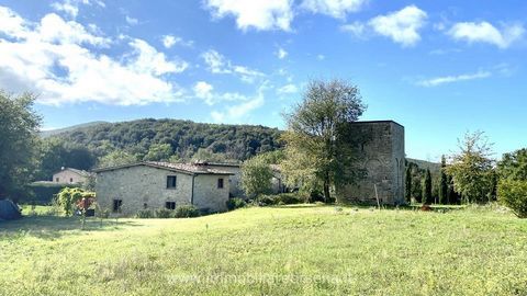 Sulle colline umbre tra Lazio e Toscana, a metà strada da Orvieto e Todi, nel Comune di Montecchio (Terni), si trova un casale, diviso in tre appartamenti, edificato sull'ex Monastero Benedettino di Sant'Andrea in Valserana del XIII secolo, con annes...