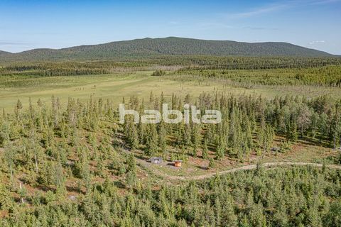 A well-maintained forest farm near Levi. The property offers a wonderful view of Pyhä and Kätkätunturi. A great place to hang out for your own pleasure. The distance to the center of Levi is 12 km. Plot is not suitable for build.