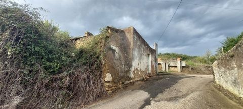 Terreno com ruina localizado na pequena aldeia da Roliça/Delgada. Fica 5km do Bombarral onde pode encontrar vários comércios (restaurantes, supermercados, escolas, hospital, bombeiros, entre outros...) Este terreno é ideal para construir uma casa de ...