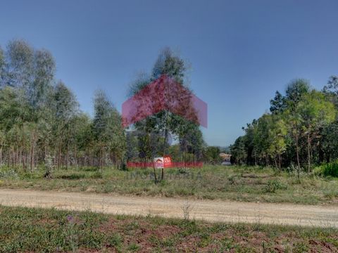 Terreno com 8.560m2 Localizado na aldeia histórica da Columbeira, extenso com boa exposição solar, também com eucaliptos, preparado para aprovação do futuro PDM. Muito perto das futuras instalações do Centro Hospital do Oeste. Muito bons acessos, zon...