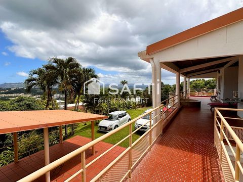 photo no. 10