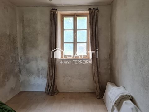 photo no. 12