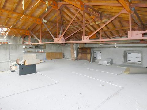 photo no. 5