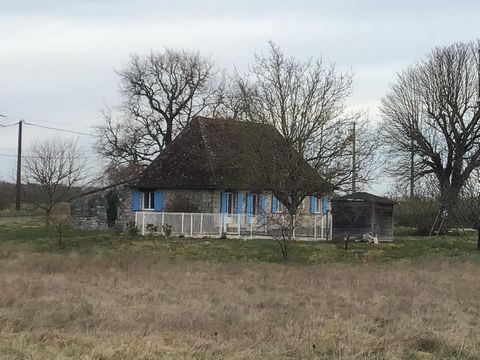 photo no. 11