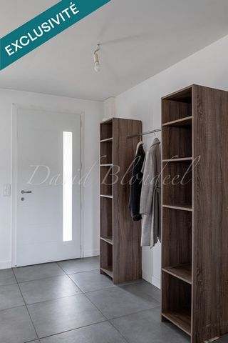 photo no. 15