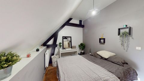 photo no. 6