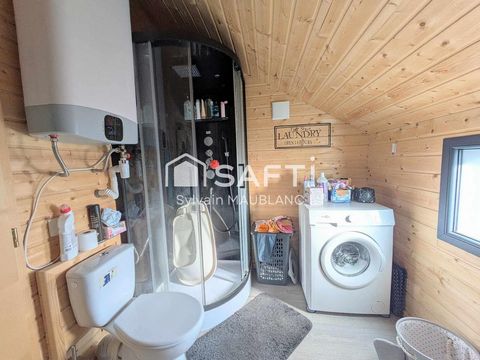 photo no. 11