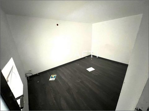 photo no. 8
