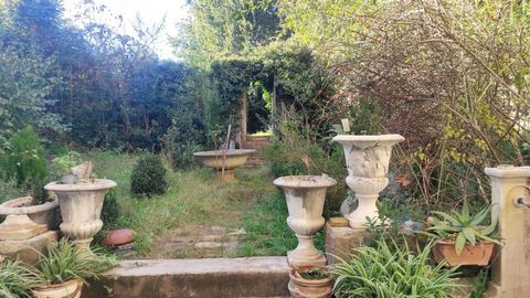 photo no. 11