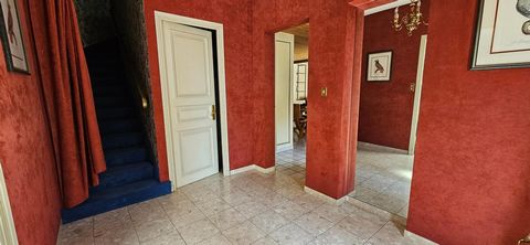photo no. 11