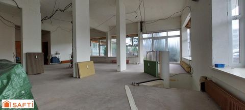 photo no. 2