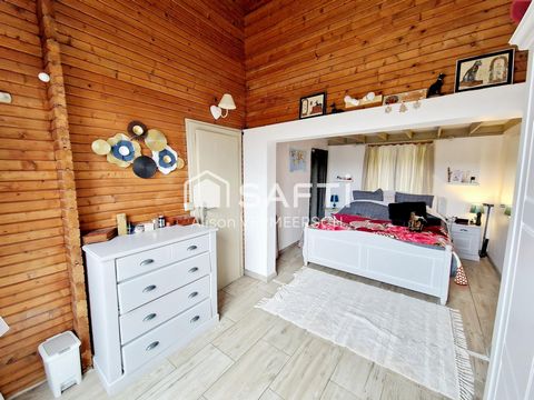 photo no. 12