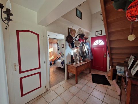 photo no. 8