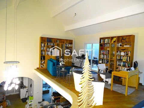 photo no. 7