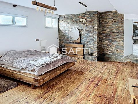 photo no. 8