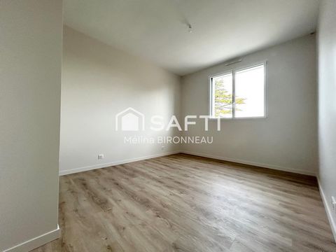 photo no. 8