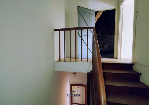 photo no. 12