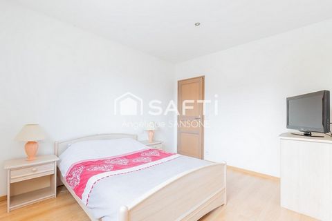 photo no. 11