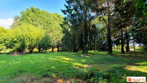 photo no. 19