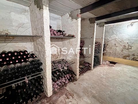 photo no. 13