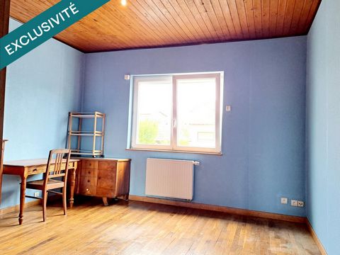 photo no. 11