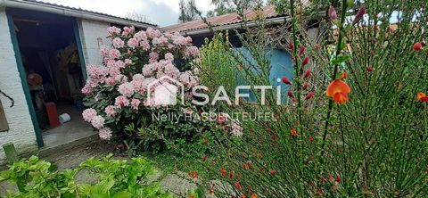 photo no. 13