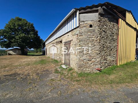 photo no. 10