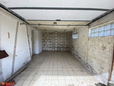photo no. 10