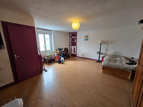 photo no. 13