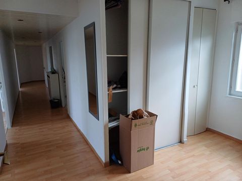 photo no. 6