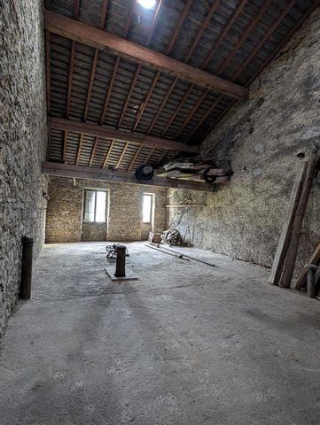 photo no. 6